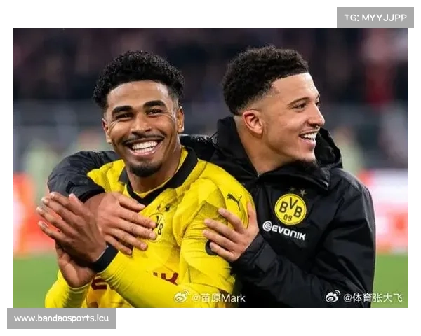 印尼推进归化战略 聚焦马特森与斯特鲁伊克提升球队实力